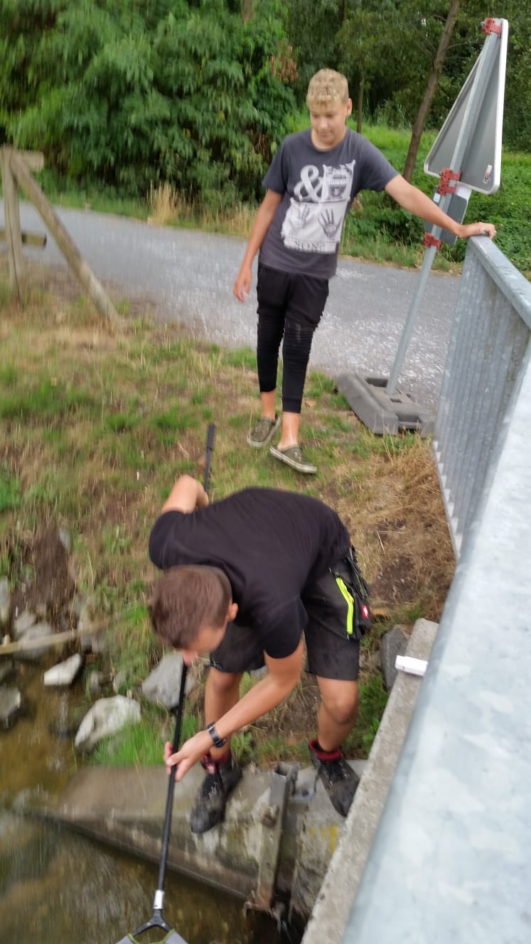 auf der Suche nach Fisch